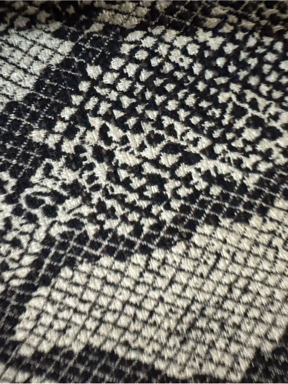 Ann Taylor ann taylor